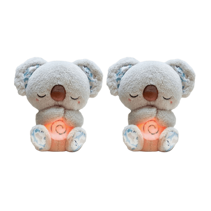 Dreaming Koala
