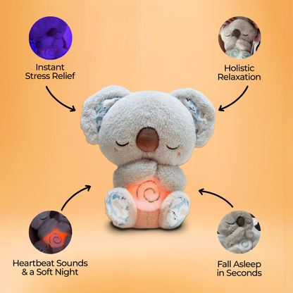 Dreaming Koala